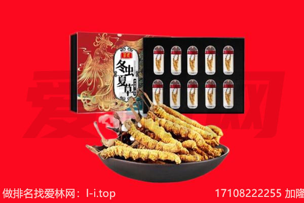 日照莒县回收虫草.jpg